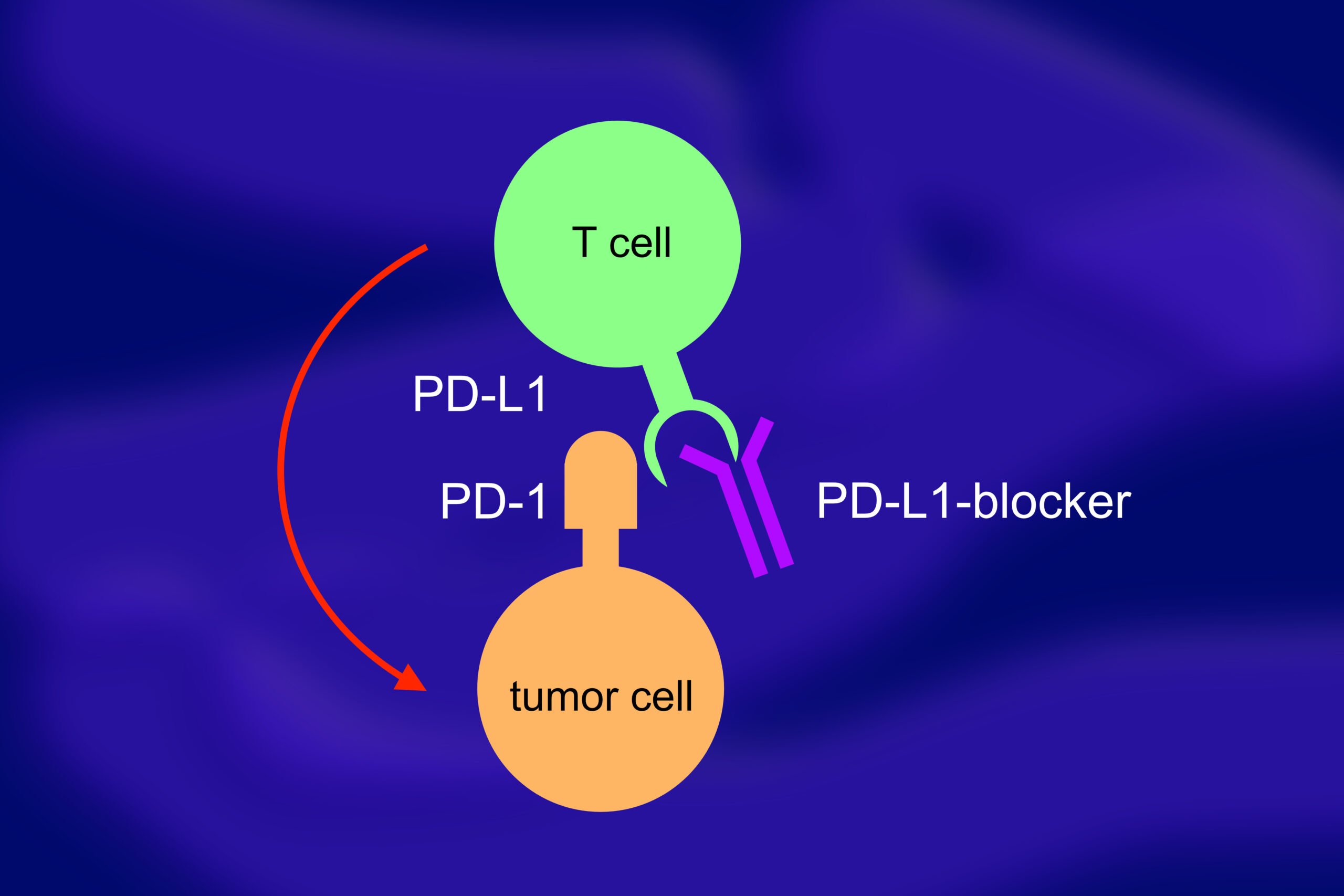 Delivery Technologies for Cancer Immunotherapy