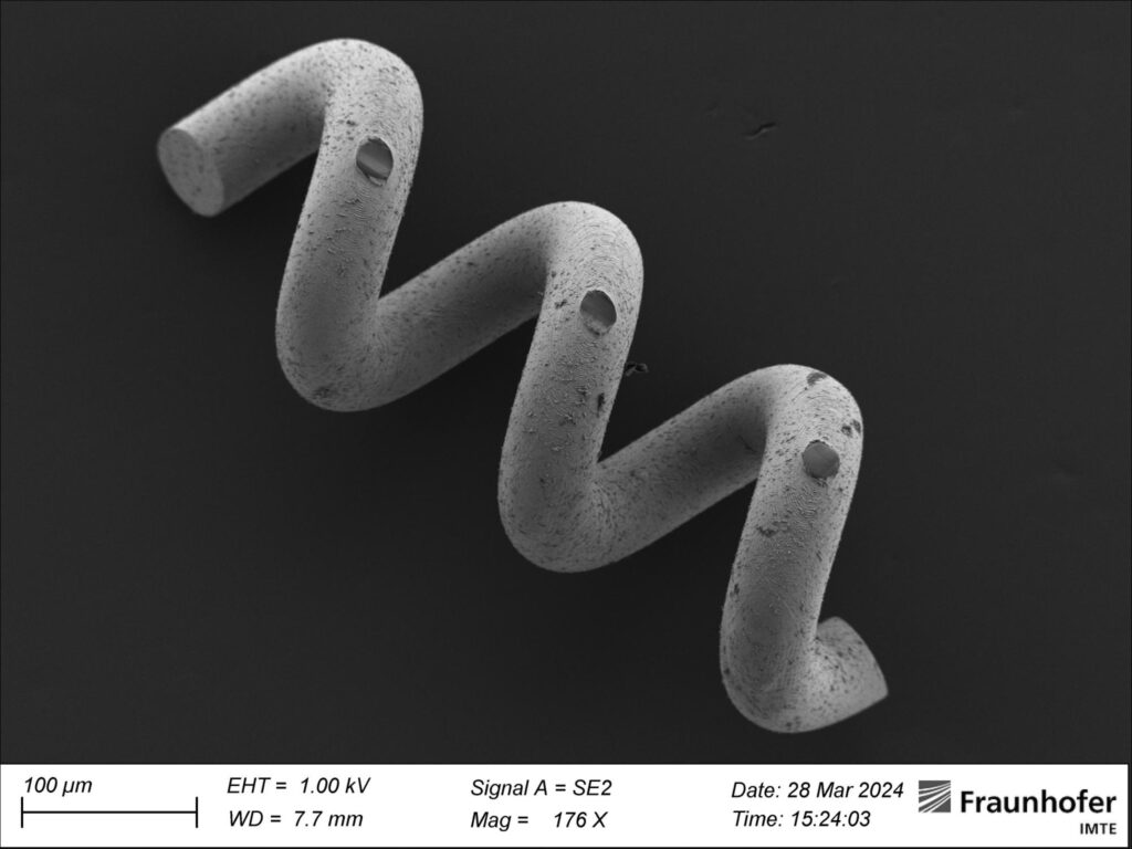 SEM 30x-Schwimmer