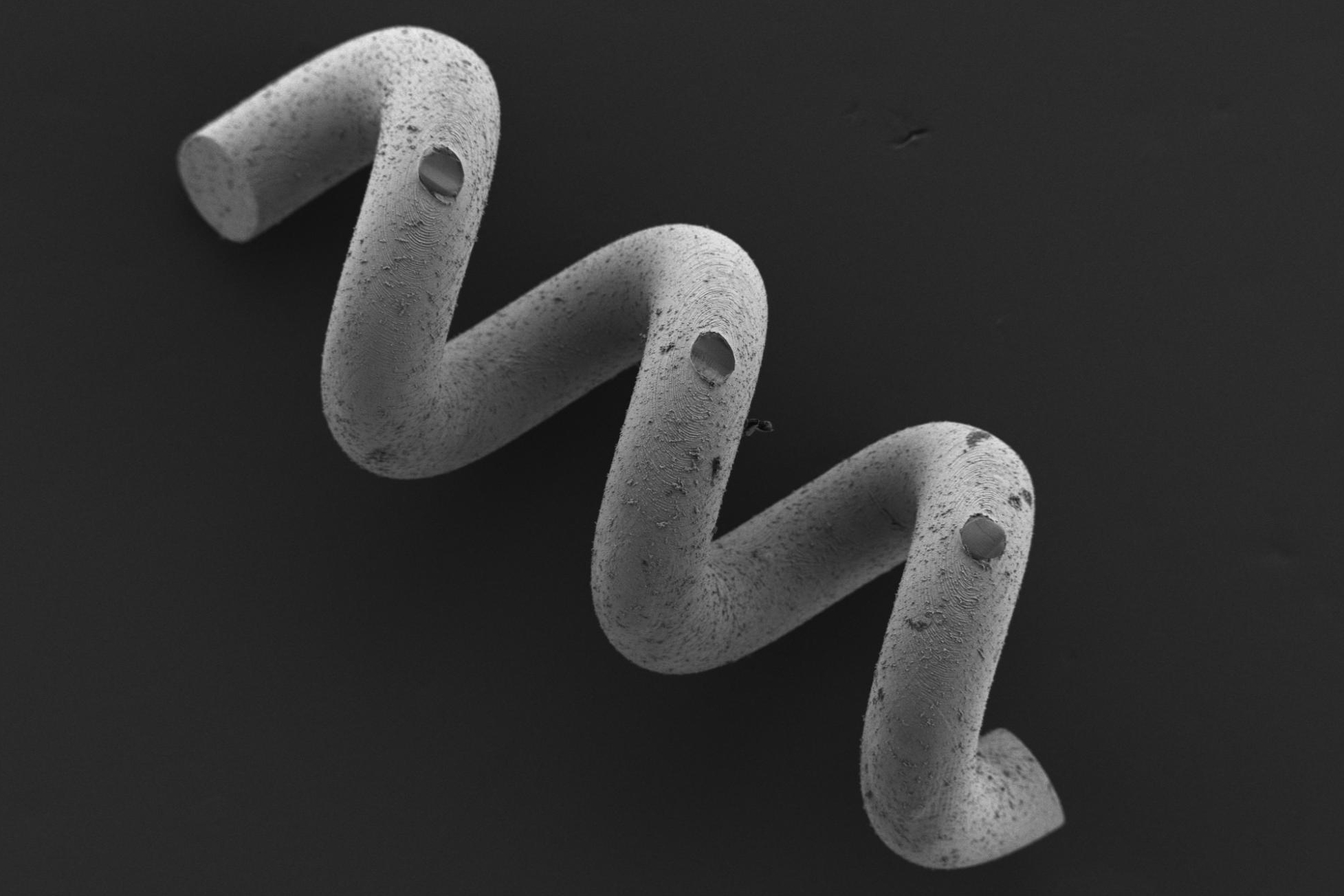 SEM 30x-Schwimmer