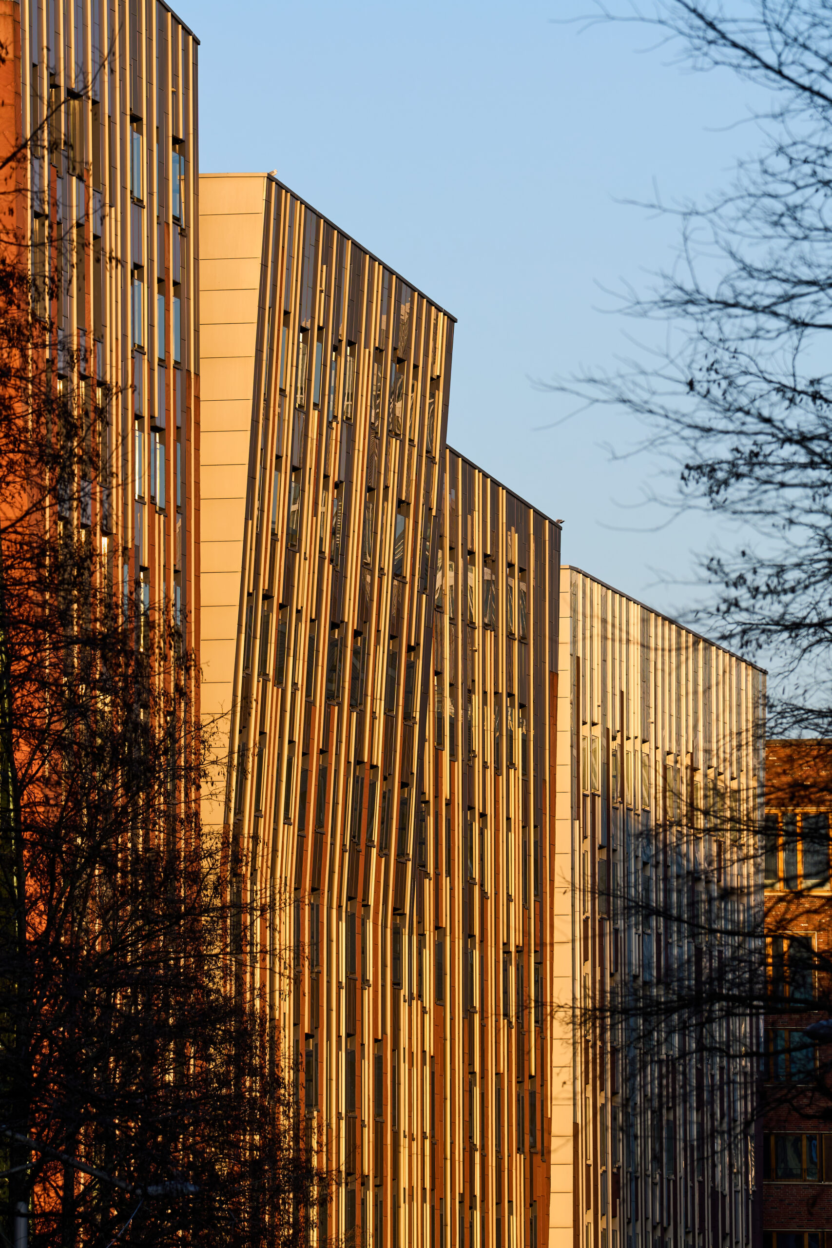 Architektur Hafencity